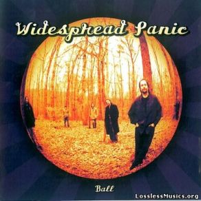 Download track Don't Wanna Lose You Widespread Panic