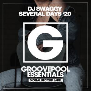 Download track Several Days (BoysNoise Electro House Mix) DJ SwaggyBoysNoise