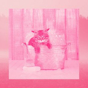 Download track Understated Ambiance For Cute Kitten Cat Relax