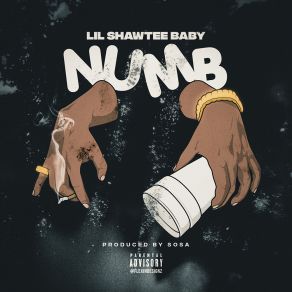 Download track Numb Lil Shawtee Baby