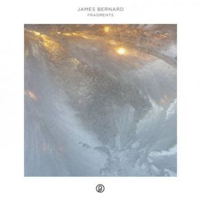 Download track Enlightened Sustenance James Bernard