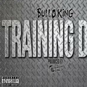 Download track I Had Da Bulloking