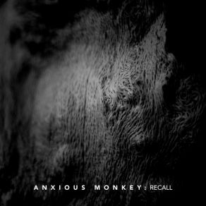 Download track Pavor Nocturnus Anxious Monkey