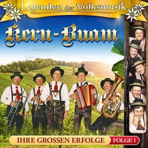 Download track I Lieg Im Straß Ngrab'n' Kern Buam