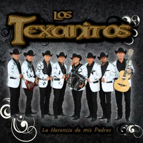 Download track El Huitlacoche Los Texanitos