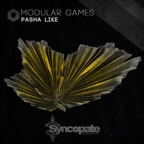 Download track Modular Games (Original Mix) Pasha Like