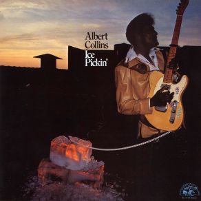 Download track Cold, Cold Feeling Albert Collins