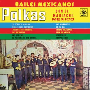 Download track El Zopilote Mariachi México