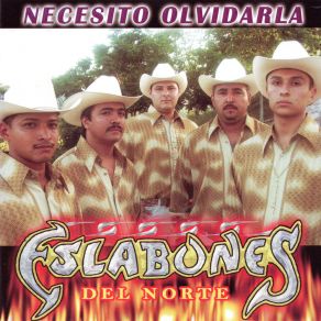 Download track Despues De Tanto Eslabones Del Norte