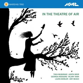 Download track In The Theatre Of Air: III. Thrushes Marsyas Trio