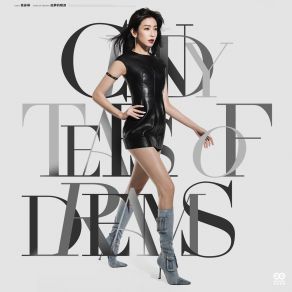 Download track 追夢的眼淚 (伴奏版) Cindy Yen