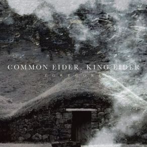 Download track Blood. -. Water Common Eider, King Eider