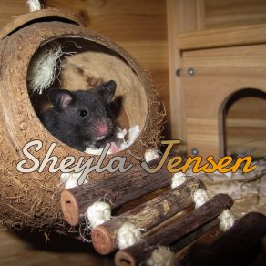 Download track Soul Haven Sheyla Jensen