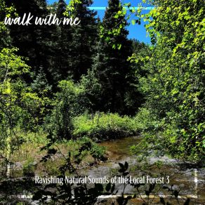 Download track Ravishing Natural Sounds Of The Local Forest, Pt. 11 Daniel Dodik