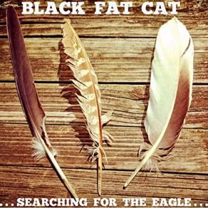 Download track Searching For The Eagle Black Fat Cat