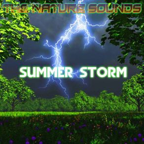 Download track Summer Storm, Pt. 1 Nature Sounds