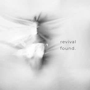 Download track Look At The Sky The Revival