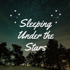 Download track Developing Sleep Melodies, Pt. 13 Baby Sleep Sounds