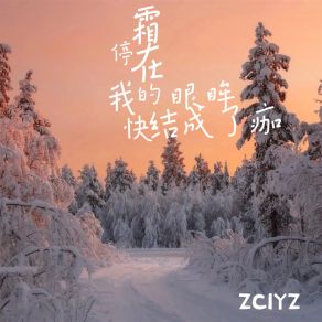 Download track 霜停在我的眼眸快结成了痂 ZCIYZ