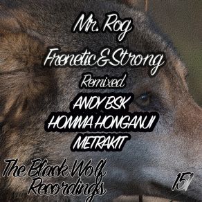 Download track Frenetic & Strong (Andy Bsk Remix) Mr. RogAndy BSK