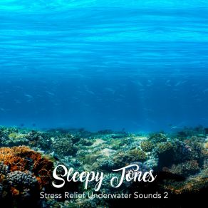 Download track Stress Relief Underwater Sounds, Pt. 20 Jason Rivers