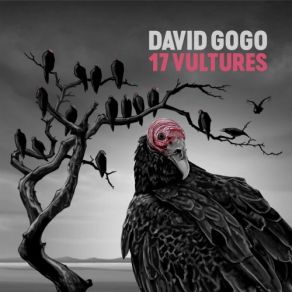 Download track Shake My Head David Gogo