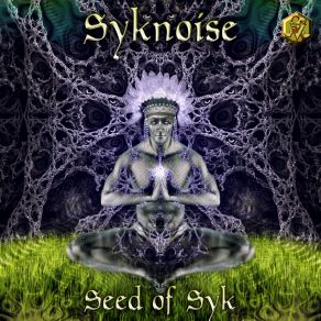 Download track Sacred Groove SykNoise