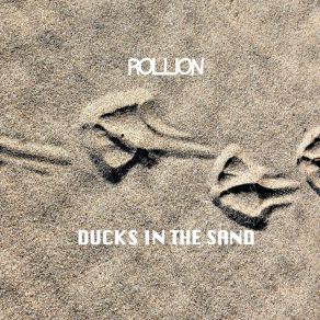 Download track Flying Bird (Extended Mix) Rollion