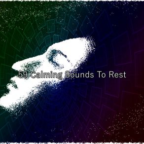 Download track Prescripted Nights Rest Spa Music Natural White Noise Sound Therapy