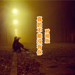 Download track 真的不能没有你 (对唱版) 小匠