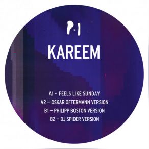 Download track Feels Like Sunday (Dj Spider Remix) KareemDJ Spider