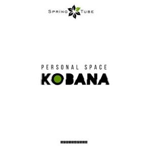 Download track A Past (Kobana Acid Dub) KobanaStephen J. Kroos