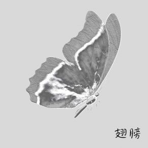 Download track 宽容 幻境音乐厂