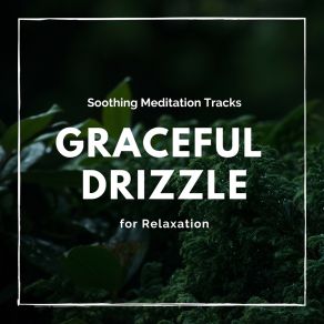 Download track Falling Divine Rain Healing Music For Inner Harmony And Peacefulness