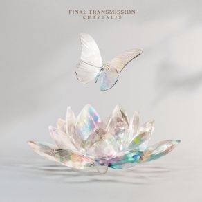 Download track 2020 Final Transmission