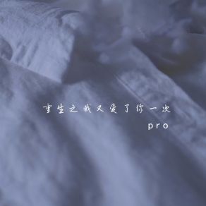 Download track 重生之我又爱了你一次 (伴奏) PRO