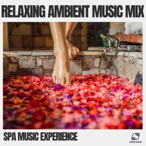 Download track Soothing Stillness Spa Music Experience