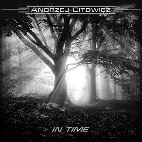 Download track Why Can't I Andrzej Citowicz