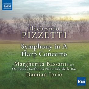 Download track Symphony In A Major III. Rapido Orchestra Sinfonica Nazionale Della RAI Di Torino, Damian Iorio, Margherita Bassani