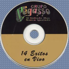 Download track Amor, Engano Y Perdon (En Vivo) Grupo Pegasso