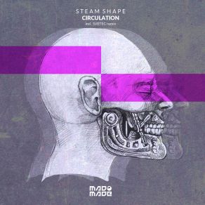 Download track Circulation (Original Mix) Steam Shape