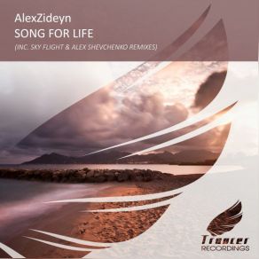 Download track Song For Life (Alex Shevchenko Remix) AlexZideyn