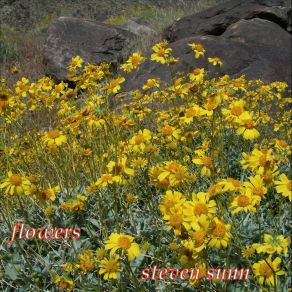 Download track Mojave Steven Sunn