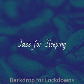 Download track Wonderful Ambiance For Freelance Work Jazz For Sleeping