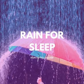 Download track Comforting Rainy Night Rain To Fall Asleep