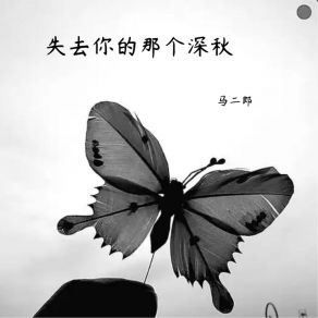 Download track 失去你的那个深秋 马二郎