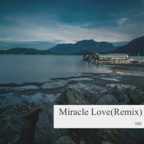 Download track Miracle Love（remix) 朱君珩