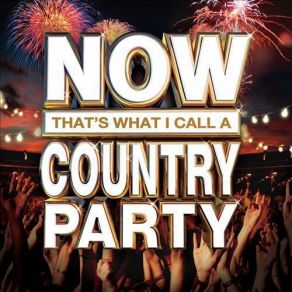 Download track One In Every Crowd Montgomery Gentry