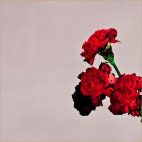 Download track For The First Time (Bonus Track) John Legend