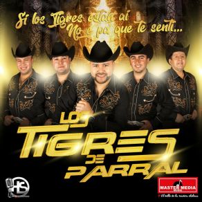 Download track Cuando Te Veo Mi Negra Los Tigres De Parral